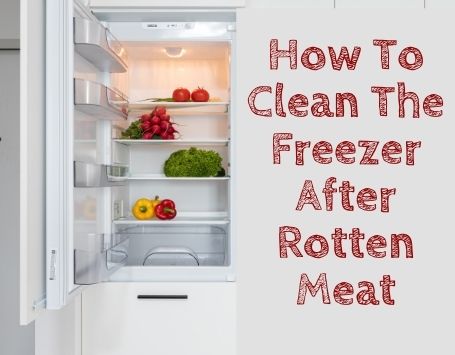 How To Clean The Freezer After Rotten Meat