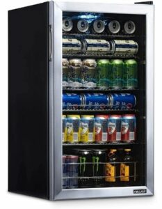 best outdoor beverage fridge
