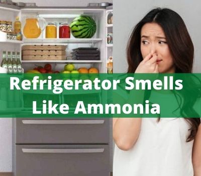 Refrigerator Smells Like Ammonia