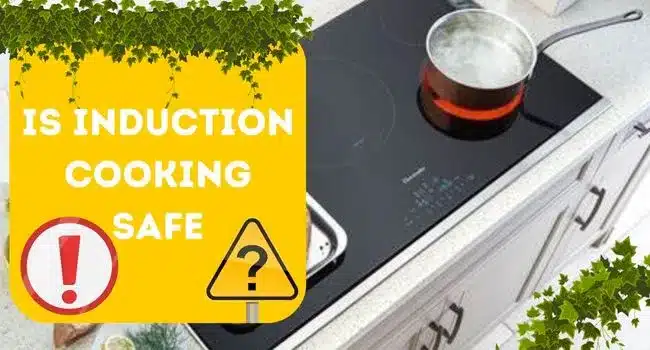Is Induction Cooking Safe